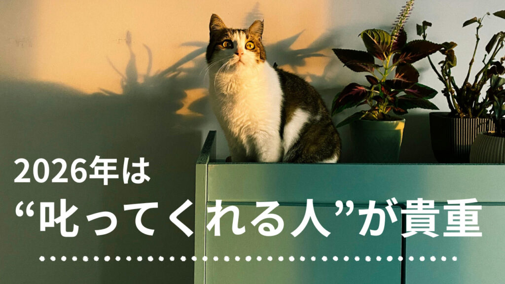 叱ってくれる人が貴重